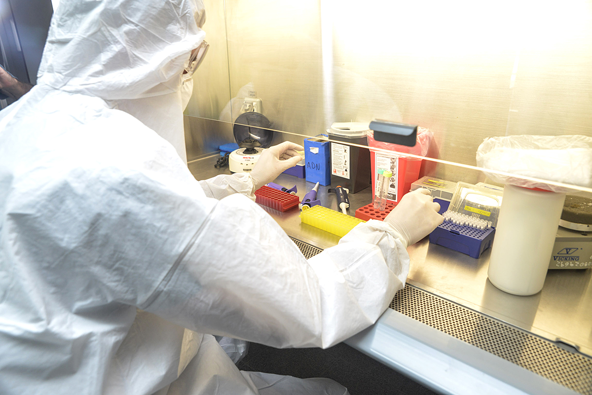 Cuatro nuevos casos de COVID -19 en la provincia de Mendoza