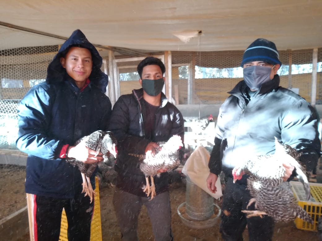 Entregaron gallinas a vecinos del barrio  Pedro Vargas para que puedan producir