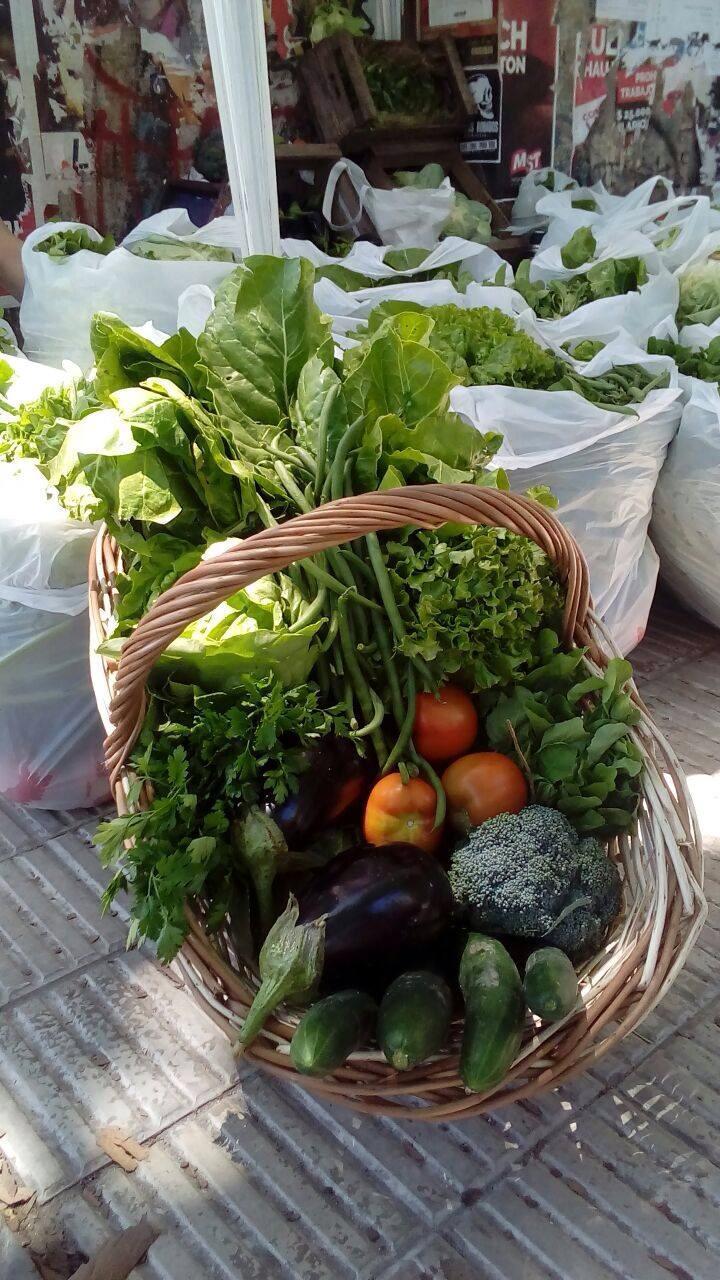 El bolsón de verduras  incorporó ajos  cosechados por chicos de la escuela de El Sosneado