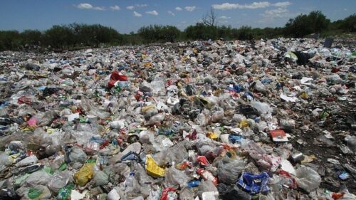 Buenos Aires: Una cartonera encontró el feto de un bebé en un contenedor de basura