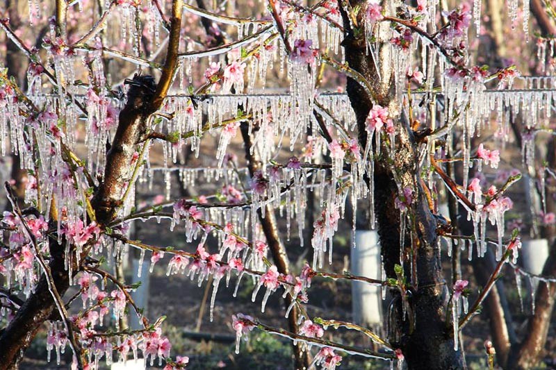 San Rafael entre los  más afectados por las  contingencias climáticas durante el último año