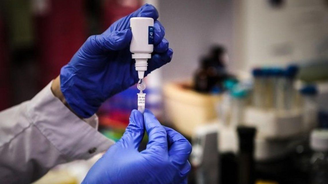 Vacuna contra el coronavirus Covid-19: denuncian que hackers rusos intentaron robar datos