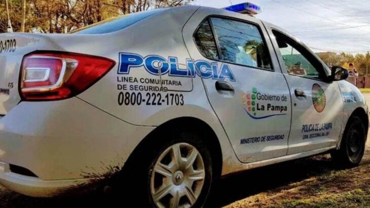 Crueldad en La Pampa: un hombre embistió varias veces a un perro con su auto hasta matarlo