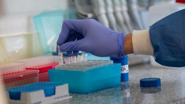 Prueba exitosa de una ­vacuna­  en Estados Unidos contra el coronavirus