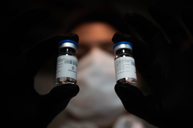 COVID-19: la ANMAT aprobó la investigación para el estudio clínico del suero equino hiperinmune