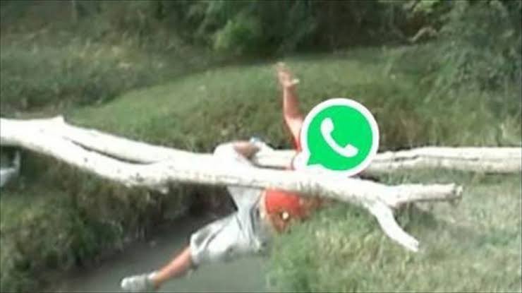 La caída de WhatsApp inició una “tormenta” de memes contra la aplicación