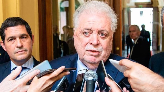 González García criticó el banderazo convocado para el lunes y a Manes por sus dichos sobre la depresión