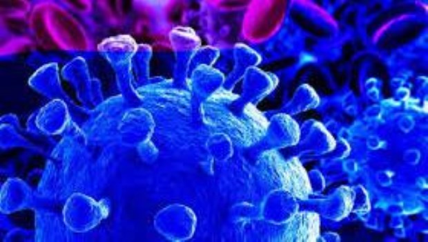 Coronavirus: son muy raras y bajas las reinfecciones, tranquiliza la OMS