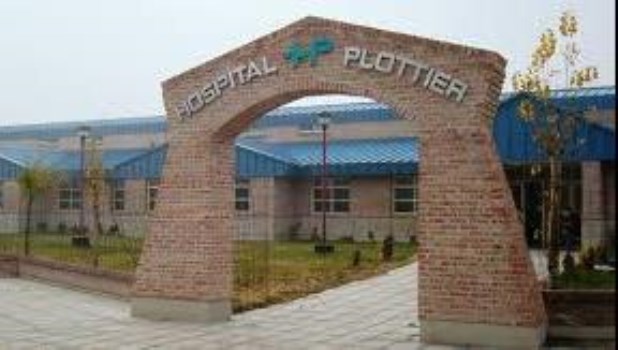 Confirmaron que el nene de 5 años de la localidad neuquina de Plottier murió por ingerir dióxido de cloro