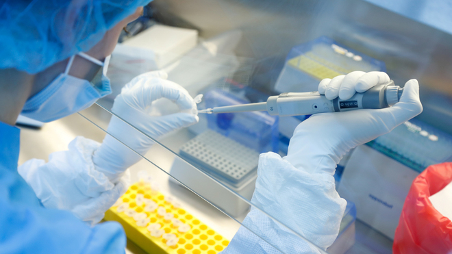 Rusia anunció que en octubre comenzará a vacunar masivamente y sin cargo contra el coronavirus