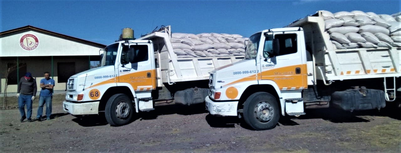 Economía asiste a productores caprinos con $1 millón en alimentos balanceados