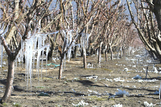 Intensas heladas: el termómetro  llegó hasta -8,7 grados  en la zona de Palermo Chico
