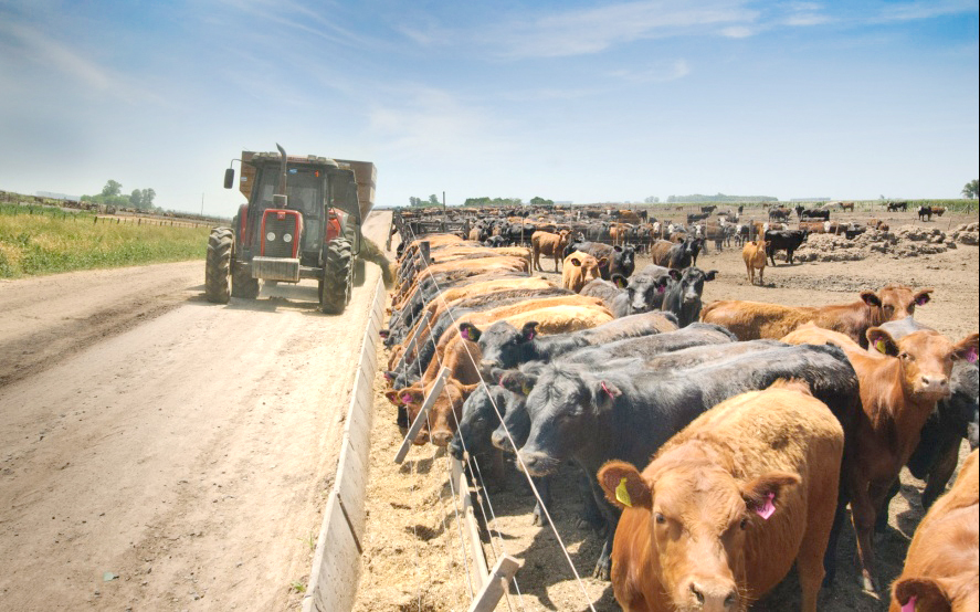 Mendoza Activa: proponen incorporar a la producción agrícola-ganadera