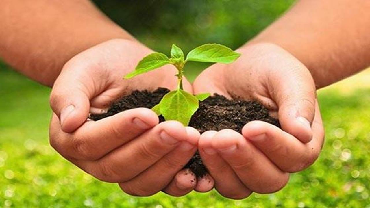 Presentaron un proyecto  para crear un marco regulatorio de la agroecología