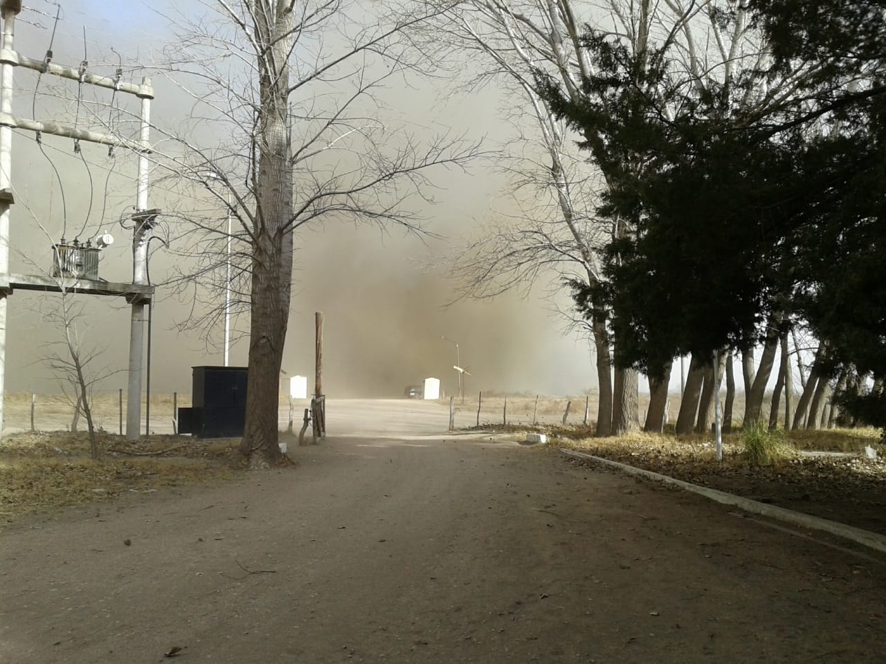 Alerta por viento Zonda: Se esperan intensas ráfagas para algunos sectores del llano