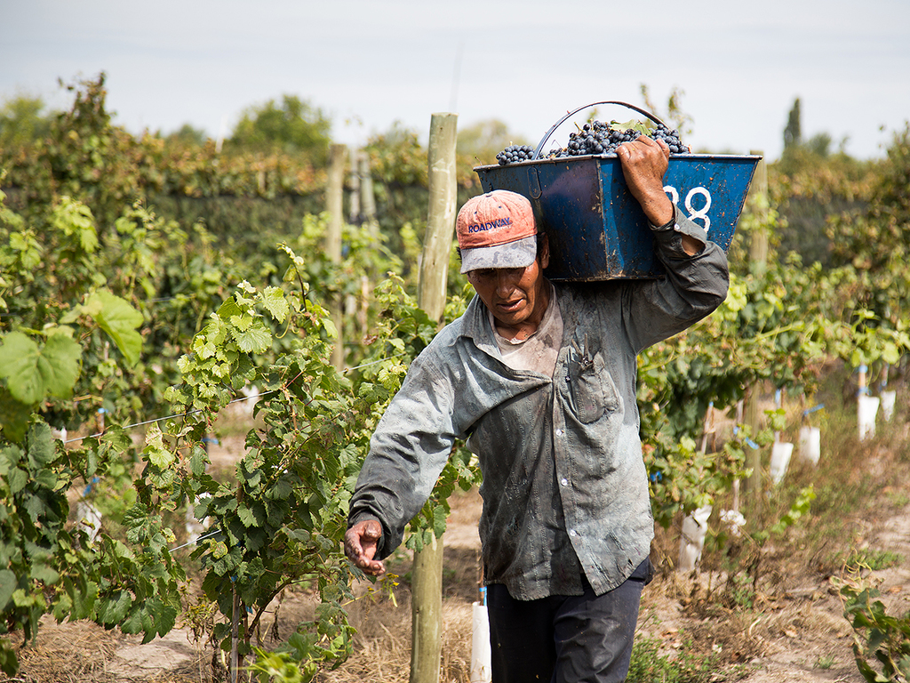 Mendoza y Jujuy trabajan en el ingreso de los trabajadores temporales