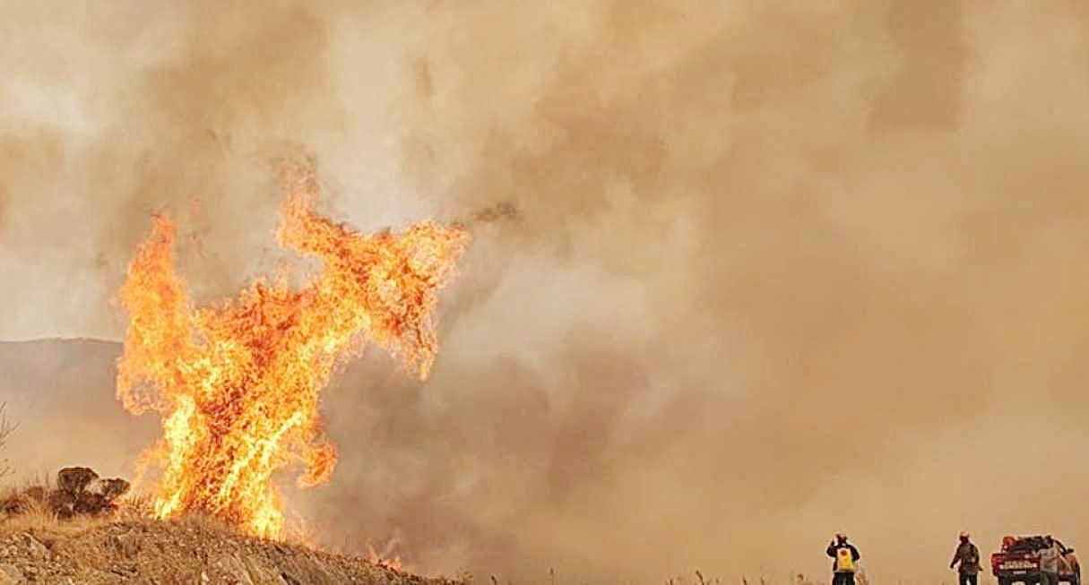 Declararon la emergencia agropecuaria en Córdoba  por los incendios