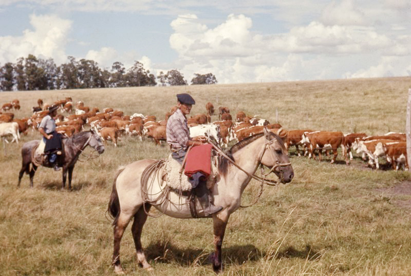 Damián Carbó: “Hay que sembrar,  sacar comida, ver productores”