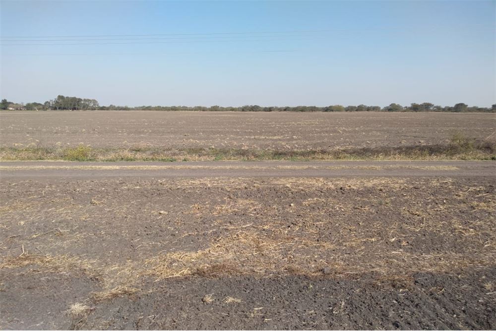 Limitan beneficios a quienes usurpen tierras en Mendoza
