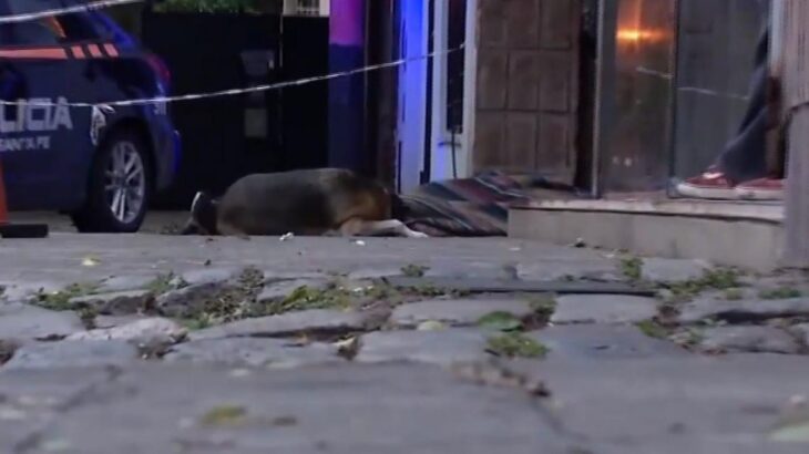 Murió un hombre en situación de calle  y su perro estuvo horas sin moverse de su lado