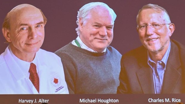El Nobel de Medicina fue para tres investigadores que descubrieron el virus de la hepatitis C