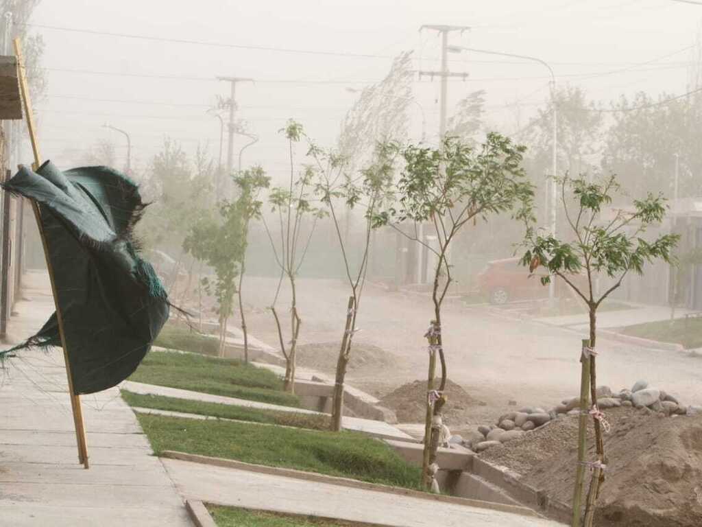 Fotos y videos: una tempestad de polvo sorprendió a los mendocinos