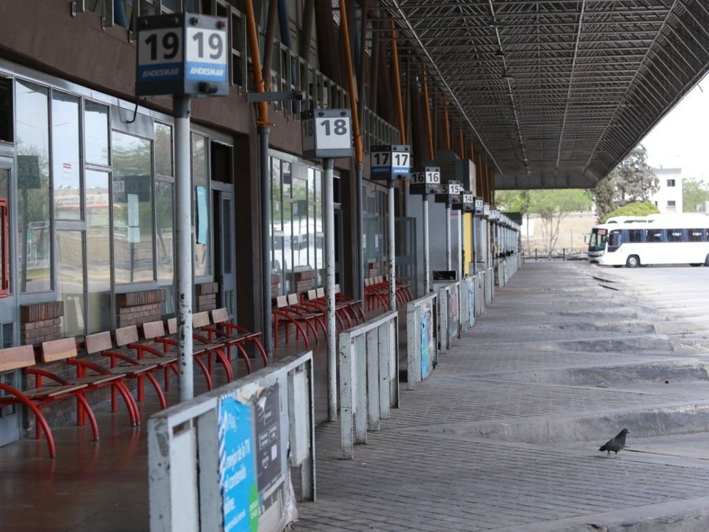 Turismo extranjero: empresas de micros piden abrir las fronteras