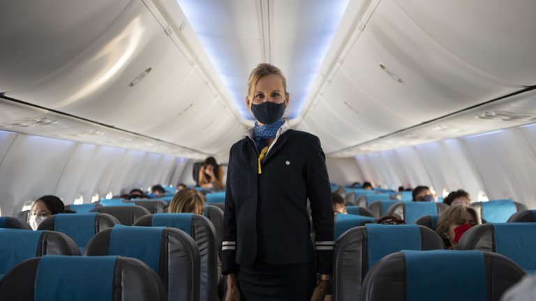 Vuelos y micros: qué provincias los habilitó y cuáles son los requisitos que pide cada una de ellas para ingresar