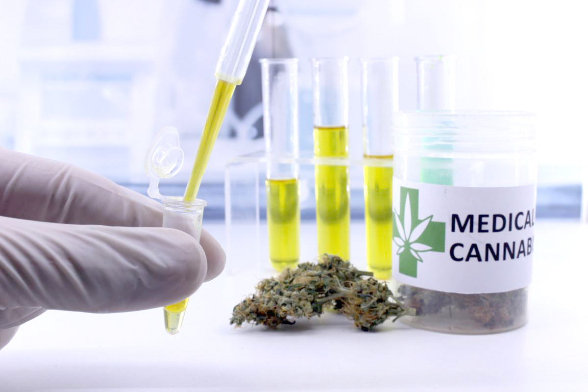 Media sanción del proyecto de ley para producir  cannabis medicinal en Mendoza