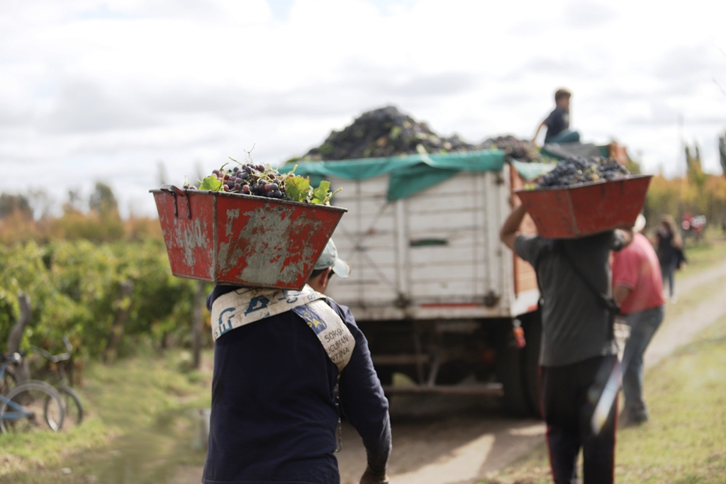 La CNRT reforzará en Mendoza los controles para la temporada de cosecha