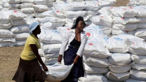 Conocé cómo funciona el Programa Mundial de Alimentos que ganó el premio Nobel de la Paz