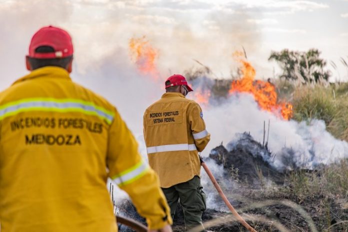 Jóvenes de todo el país se manifiestan  contra los incendios y desmontes