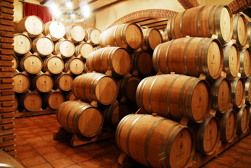 En la última década dejaron de elaborar 14 bodegas en  el Sur provincial