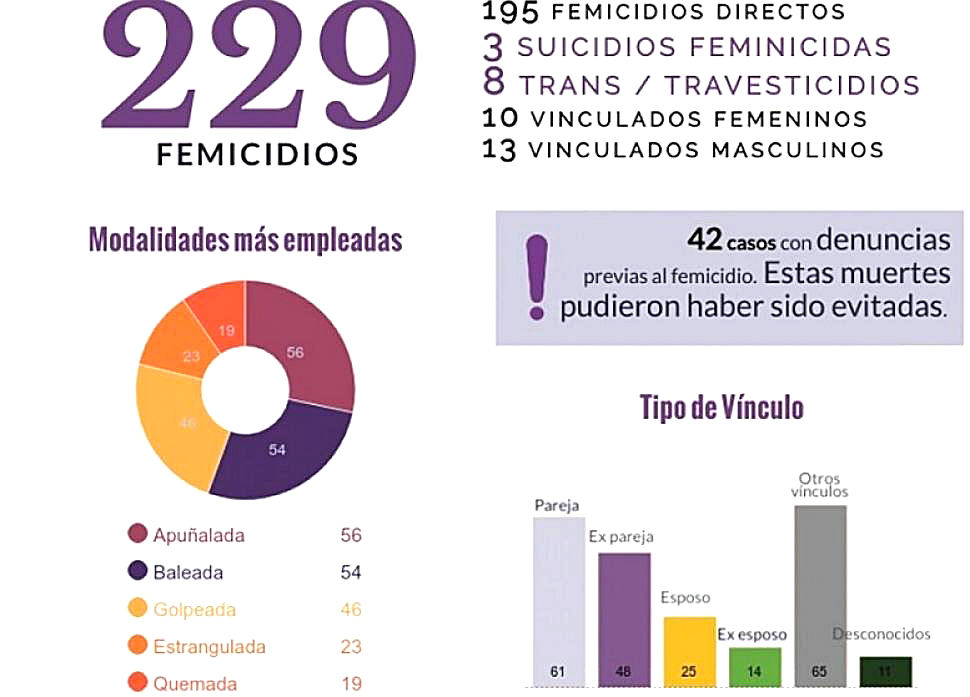 En lo que va del año hubo  229 femicidios en el país
