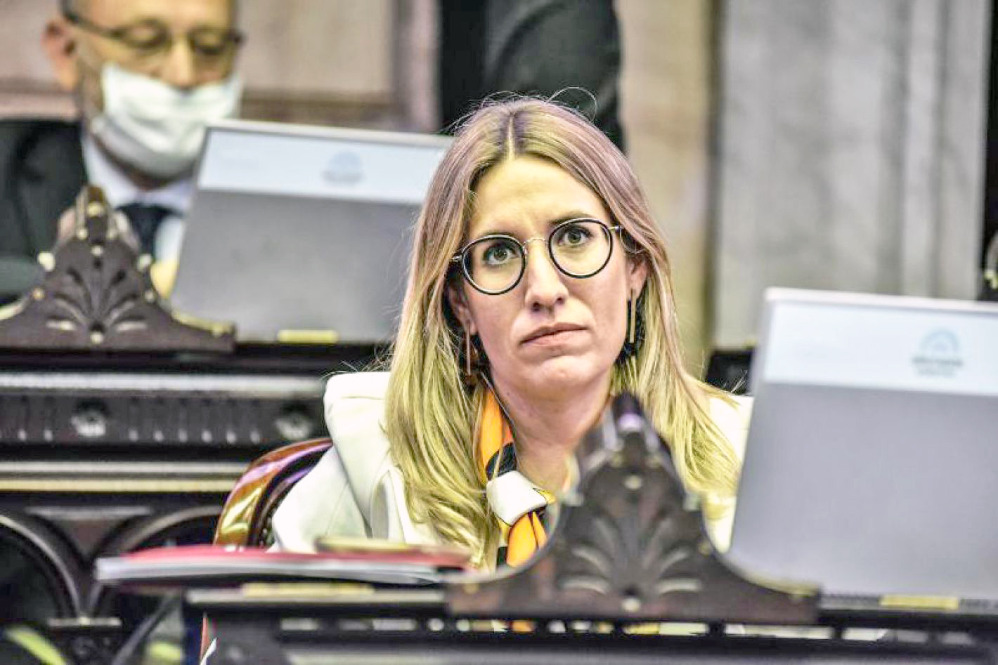 Critican el accionar de entes reguladores como el ENRE y el Enargas