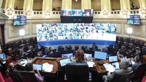 En el Senado los números por la ley del aborto están muy parejos