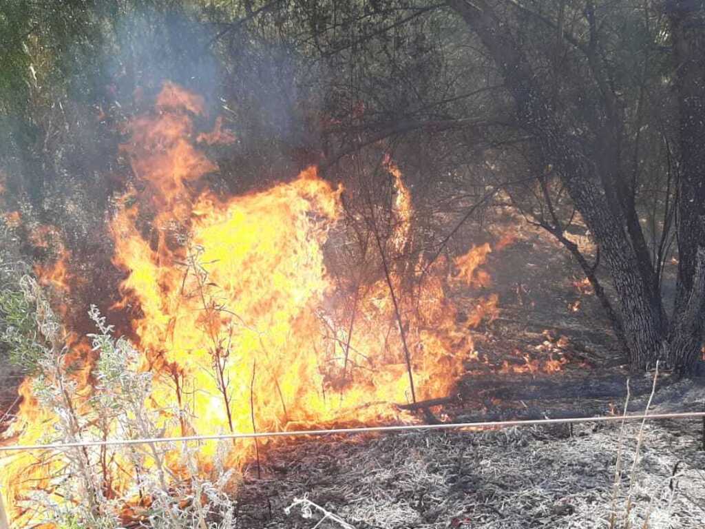 Echaron a un brigadista por negarse a trabajar en un incendio