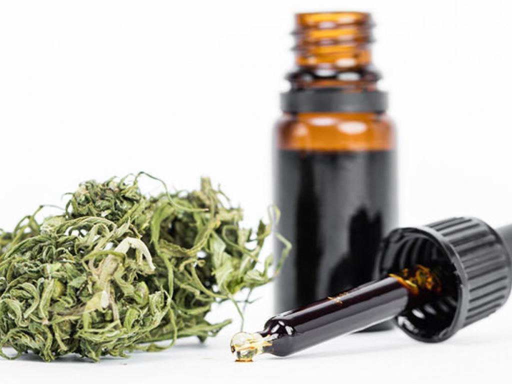 Mendoza convirtió en ley la regulación del uso medicinal del cannabis