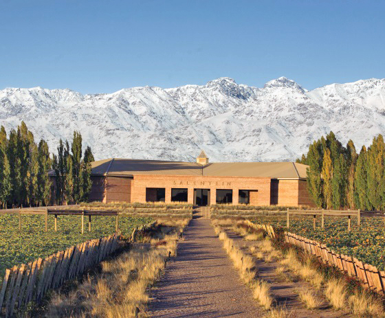 Mendoza, tierra del sol, del buen vino  y de la economía del conocimiento