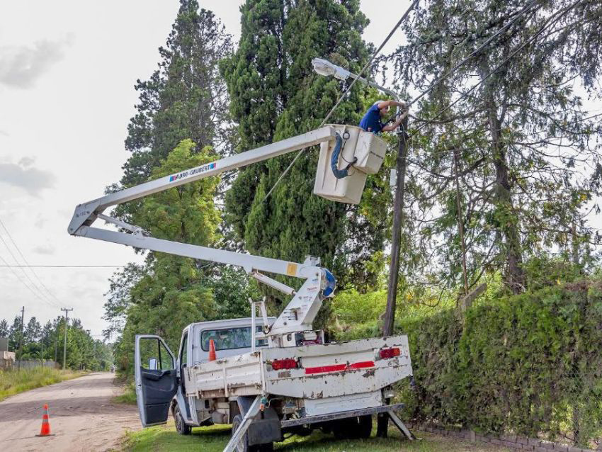 La caída de árboles  causó daños importantes  en el tendido eléctrico