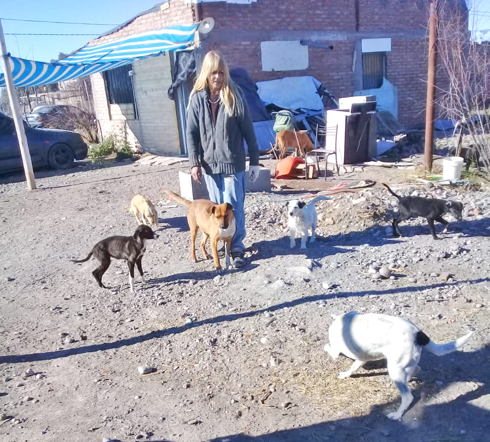 Le envenenaron cuatro perros y cinco a su vecino