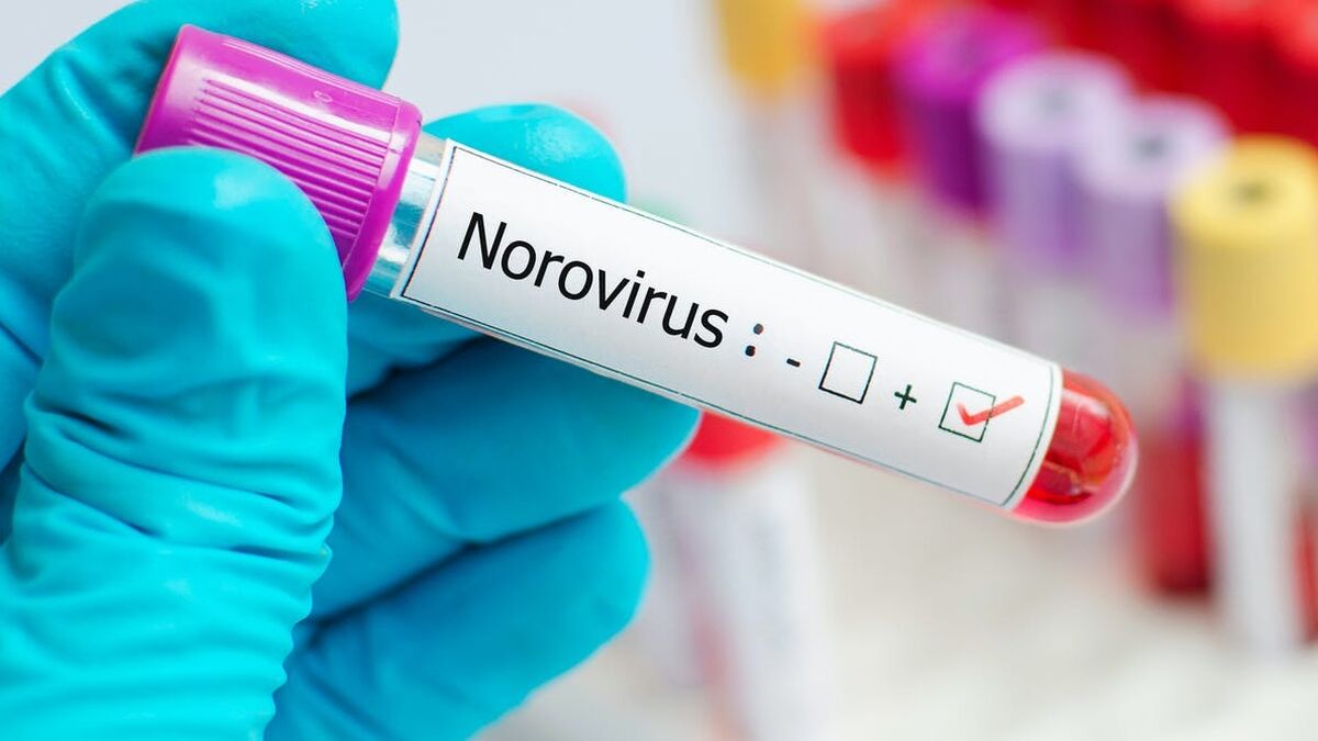 La que faltaba: brote de norovirus en China con 50 chicos infectados