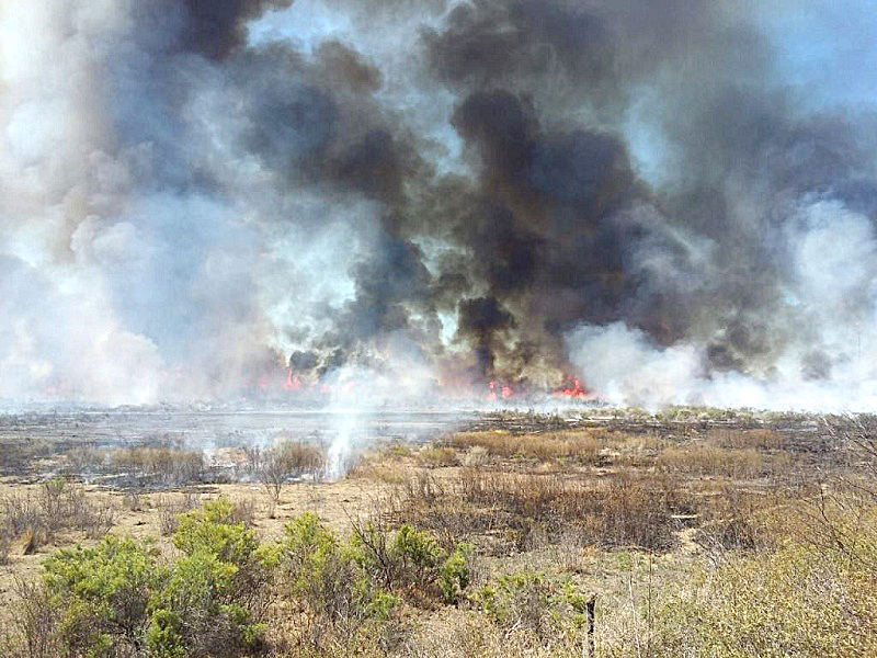 Siete personas fueron multadas por incendios intencionales en el Sur