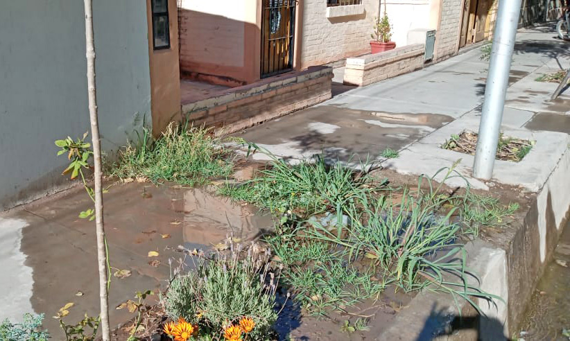 Vecino de barrio AMSA  reclama que lleva seis meses  con una pérdida de agua