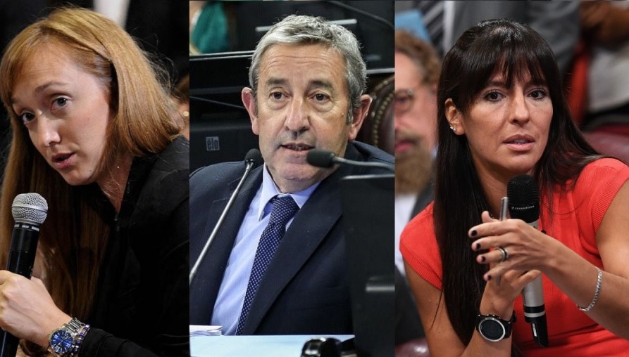 Legalización del aborto: así votaron los senadores nacionales por Mendoza