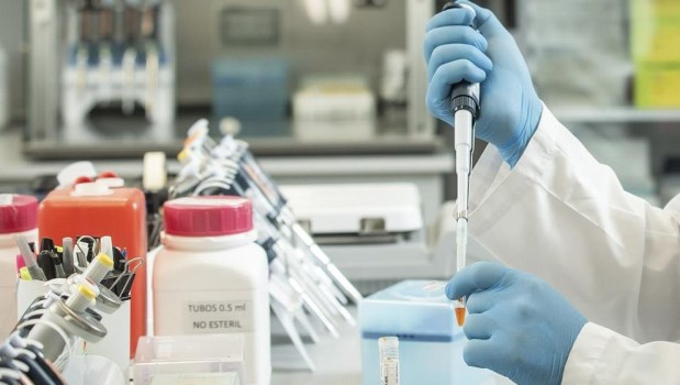 COVID- 19: comienza la distribución del suero equino hiperinmune desarrollado en Argentina