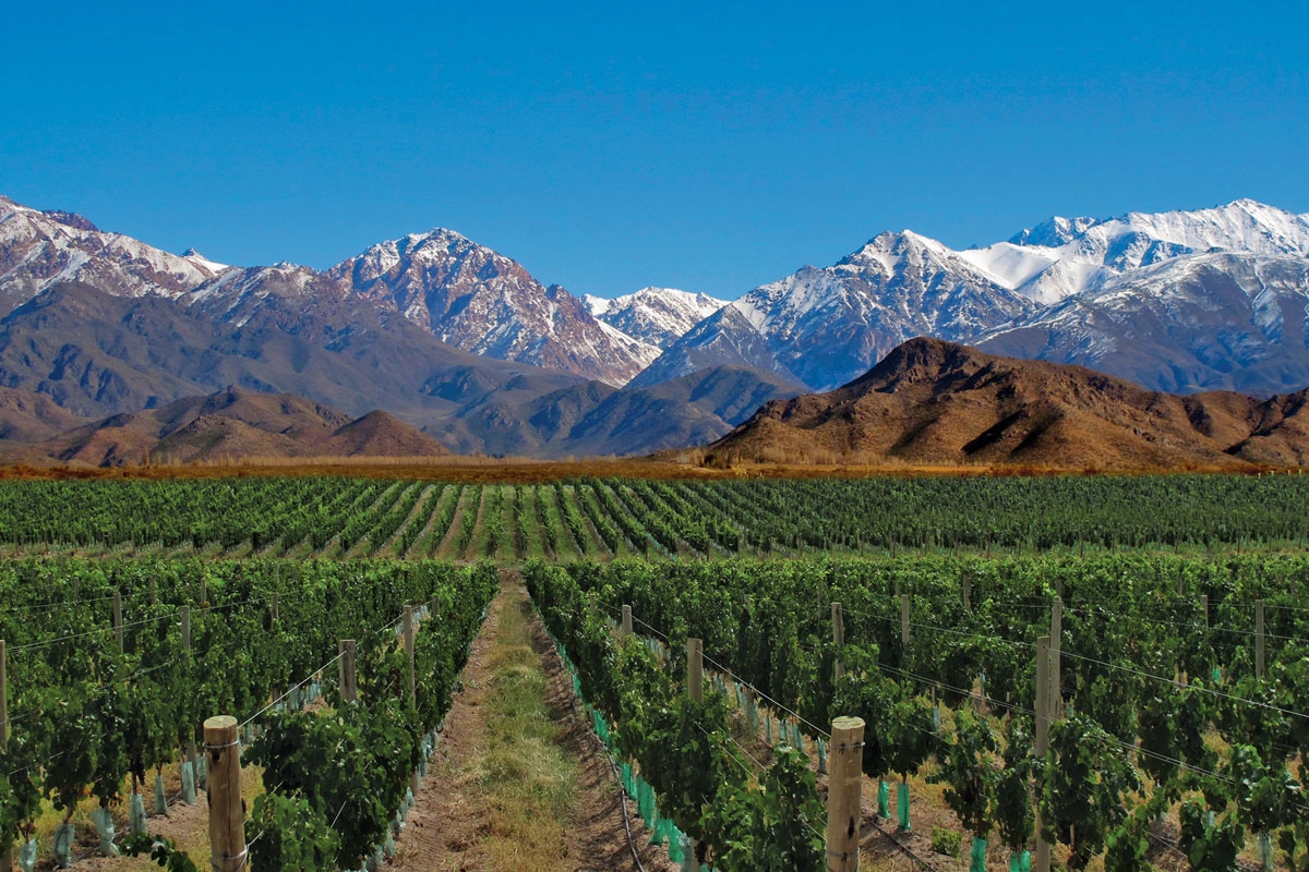 Mendoza lanza líneas de créditos para industriales y productores por $3.000 millones