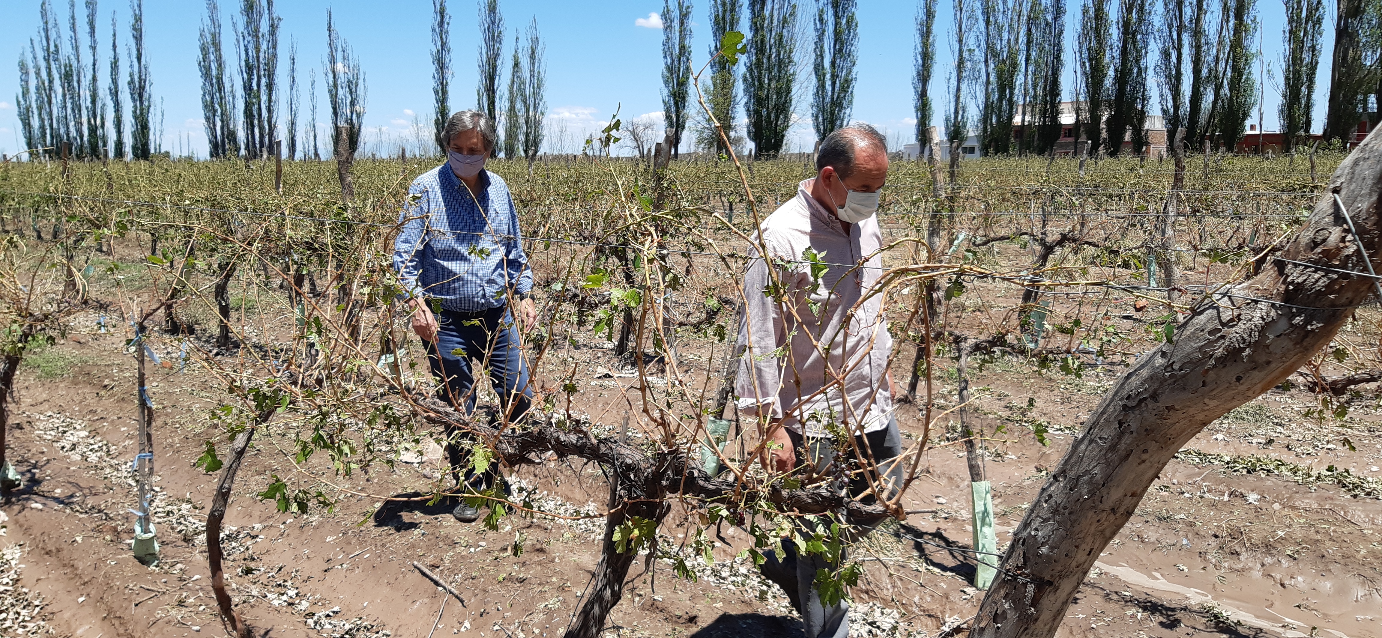 Félix recorrió “zonas de desastre” y anticipó que pedirá ayuda provincial y nacional