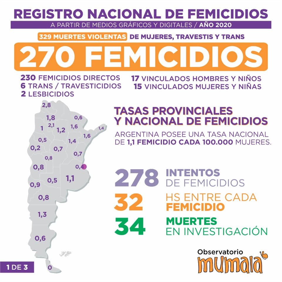 En 2020 se registraron 329 muertes  de mujeres y/o trans en el país