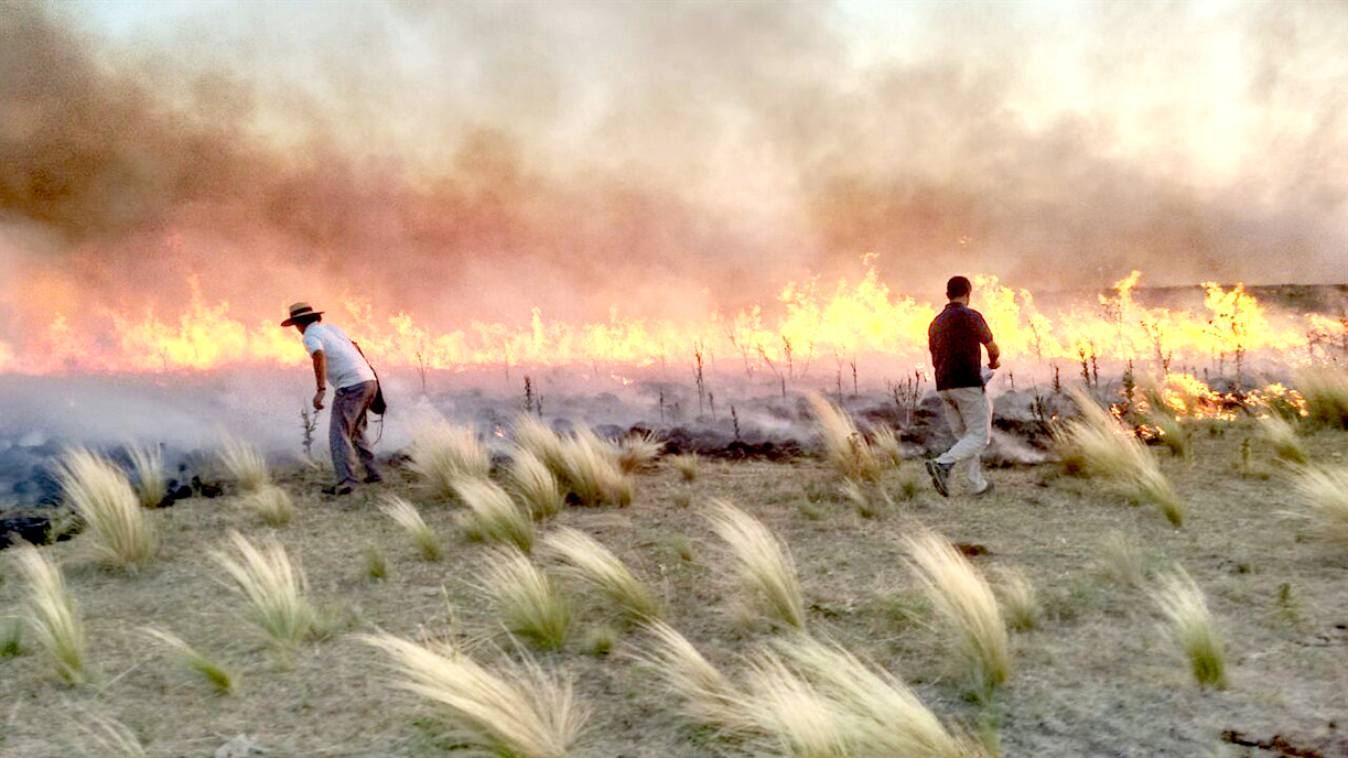Referentes nacionales del  Plan de Manejo del Fuego  estuvieron en San Rafael